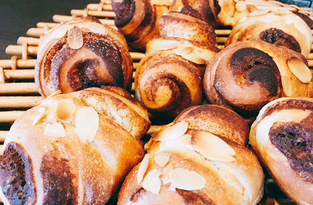 12714075_695781817225931_1830189092_n