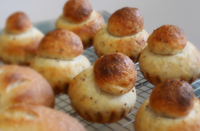 12714075_695781817225931_1830189092_n